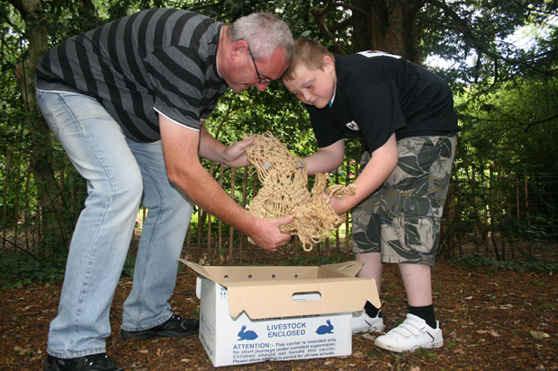 Greg and Ciaran rescue a Macram Owl in the wild