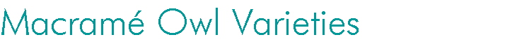 Macram Owl Varieties