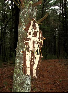 Photo credit: Spotted by Alex, Alexi and Charlie in Callahan State Park, Framingham, Massachusetts, USA, April 2008