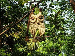 Photo credit: Aranchala Grace, South India